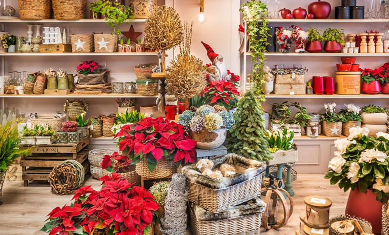 1583307371296332.jpg 201809052209173257.jpg