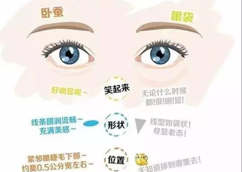 眼袋還是臥蠶，快來學(xué)辨別的方法