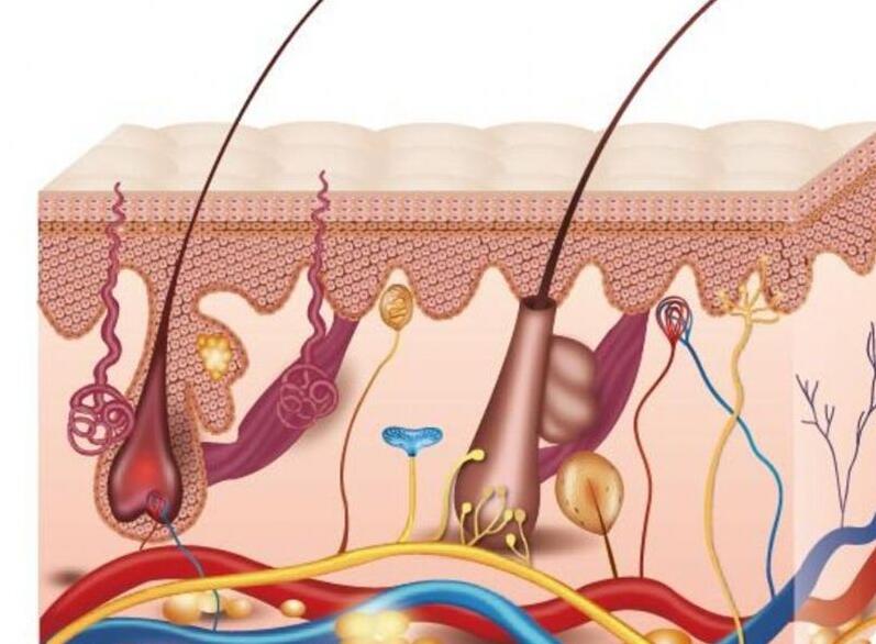 1609915785250095.jpg QQ截圖20210106144230.jpg