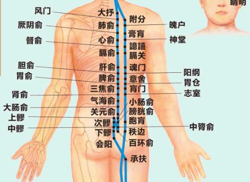 美容技巧：背部按摩美容養(yǎng)生方法