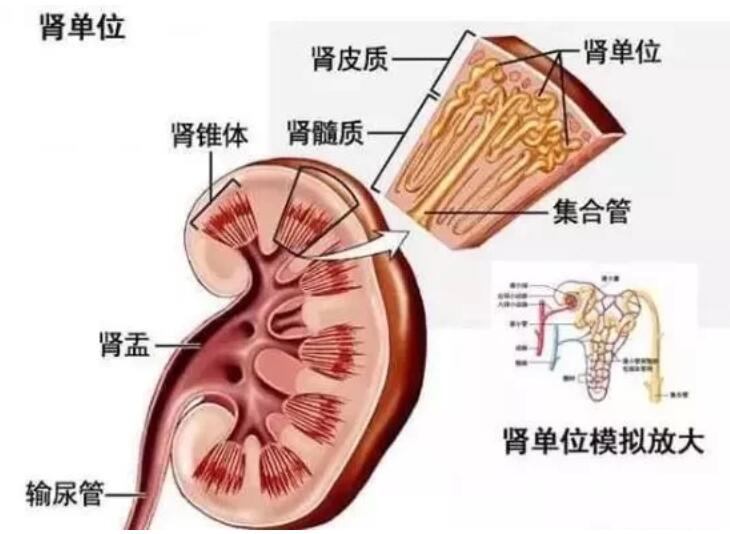 1609988559246588.jpg QQ截圖20210107105423.jpg