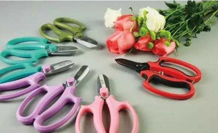 1614065362766093.jpg QQ截圖20210223152908.jpg