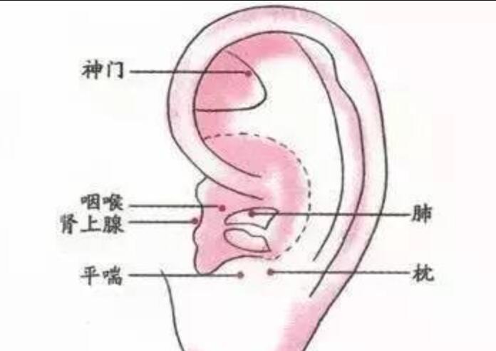 1622797489213075.jpg QQ截圖20210604155044.jpg