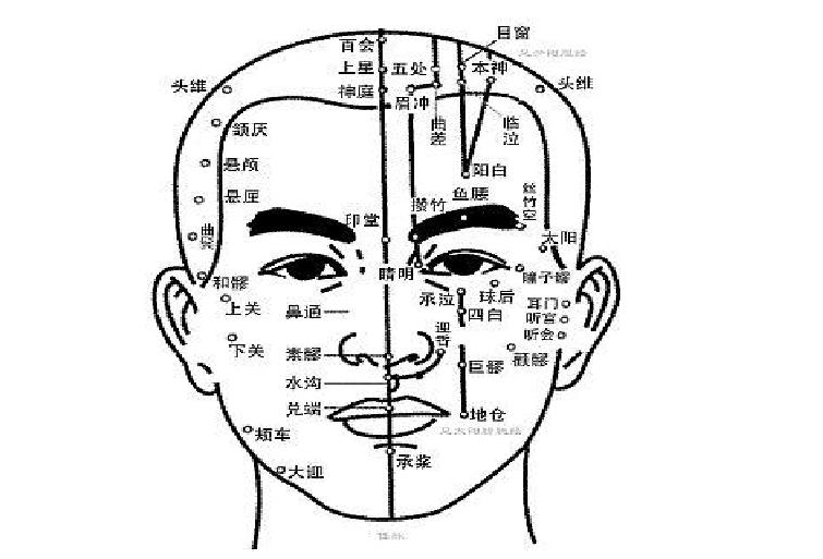 南寧美容培訓(xùn)課程：認(rèn)識頭部經(jīng)絡(luò)的走向