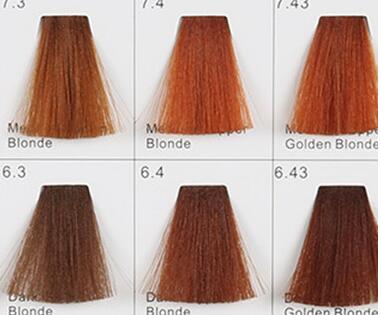 南寧專(zhuān)業(yè)美發(fā)學(xué)校：美發(fā)色板的數(shù)字怎么看