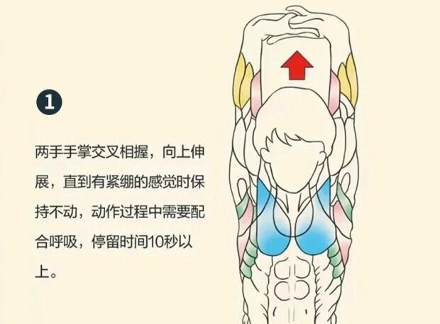 南寧美容師培訓要學什么？背部護理就是其中一項