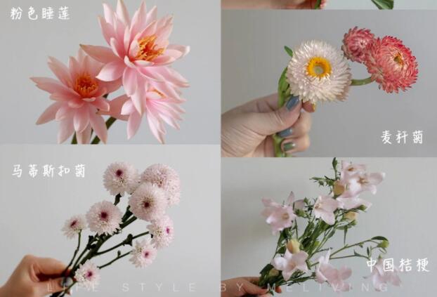 認(rèn)識(shí)常見花朵的名稱，廣西插花學(xué)?；ㄋ嚺嘤?xùn)基礎(chǔ)