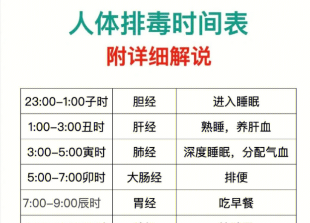 人體排毒時間表，南寧美容專業(yè)學(xué)校詳細(xì)解說