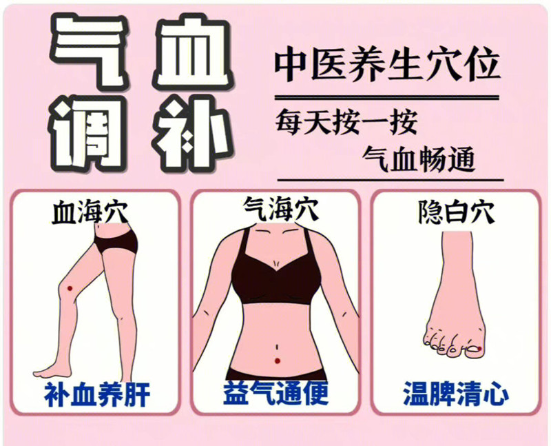 具有補(bǔ)氣血功能的穴位，南寧學(xué)美容中醫(yī)