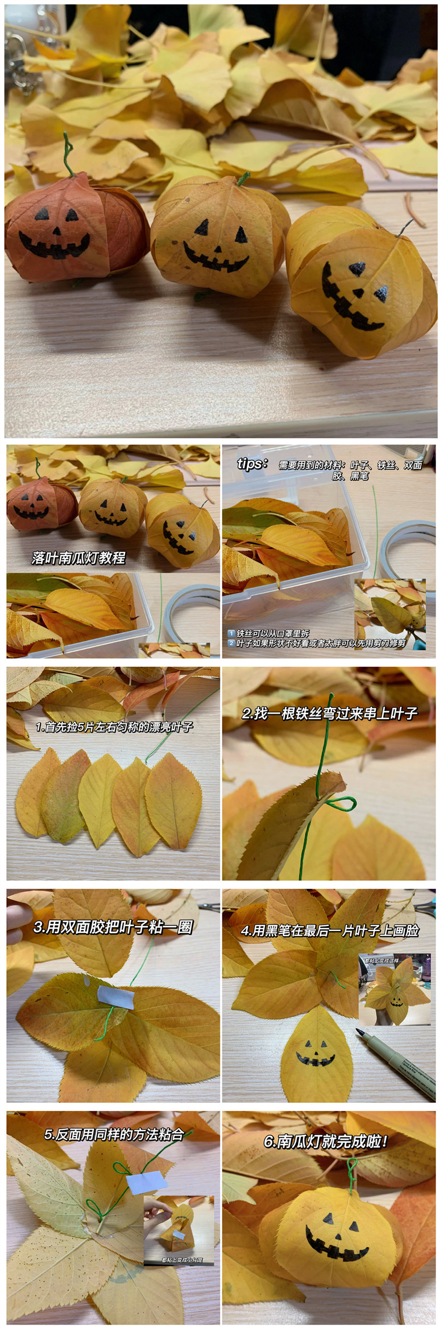 1667354386775076.jpg 12369.jpg