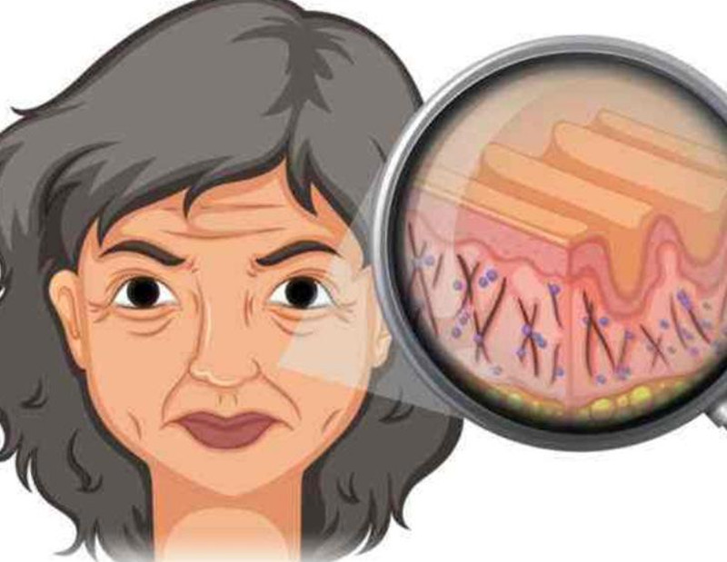 女性如何延緩衰老？南寧皮膚管理培訓(xùn)班講解