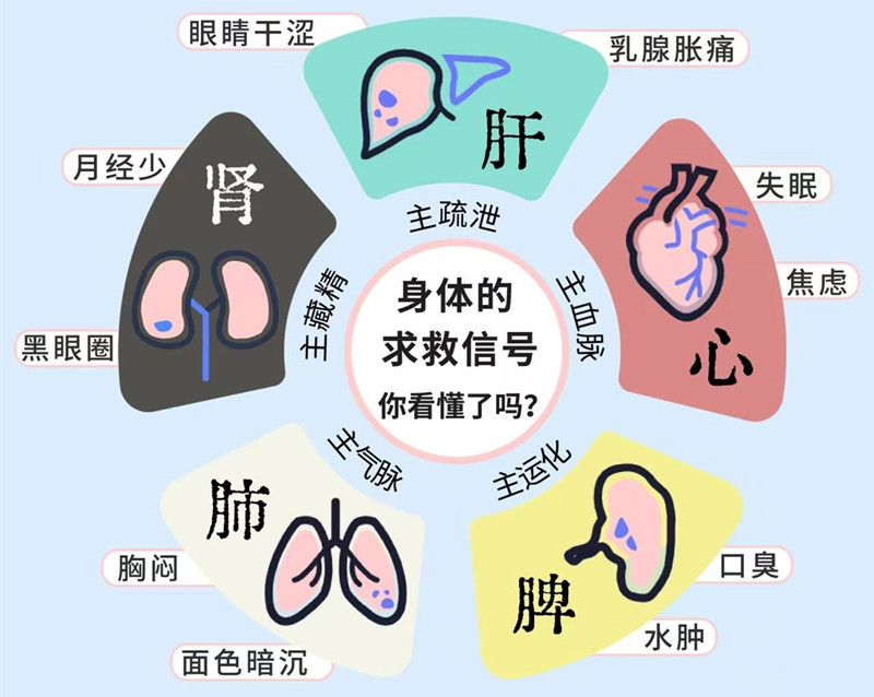 南寧專業(yè)美容管理學(xué)校：五臟六腑如何管理？