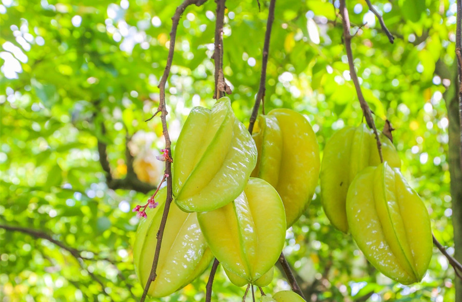 廣西美容護(hù)膚養(yǎng)顏班：春天吃什么水果好？