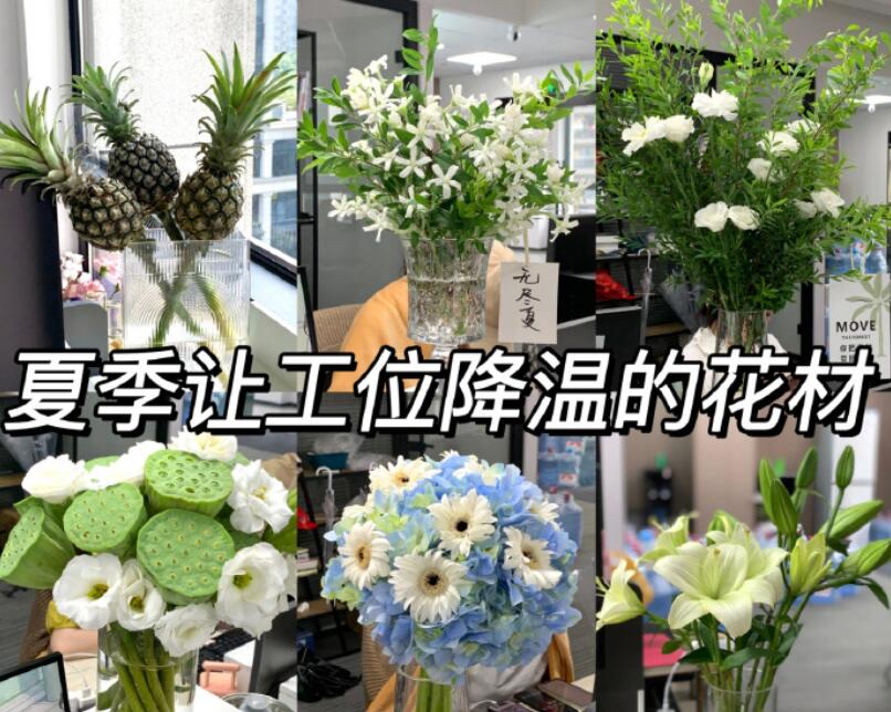 自帶降溫效果的花材，廣西學(xué)鮮花技術(shù)