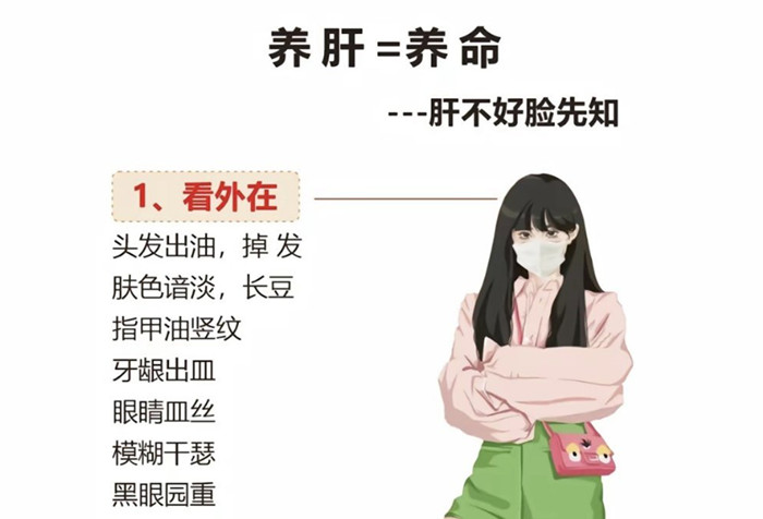南寧學(xué)健康美容：如何正確養(yǎng)肝？
