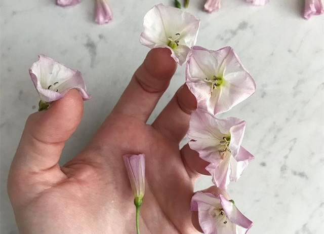 植物藝術(shù)美甲，南寧美甲造型設(shè)計培訓(xùn)分享