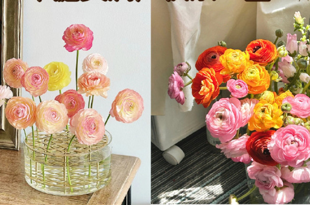 小眾但花語很美的花卉，南寧鮮花知識培訓(xùn)