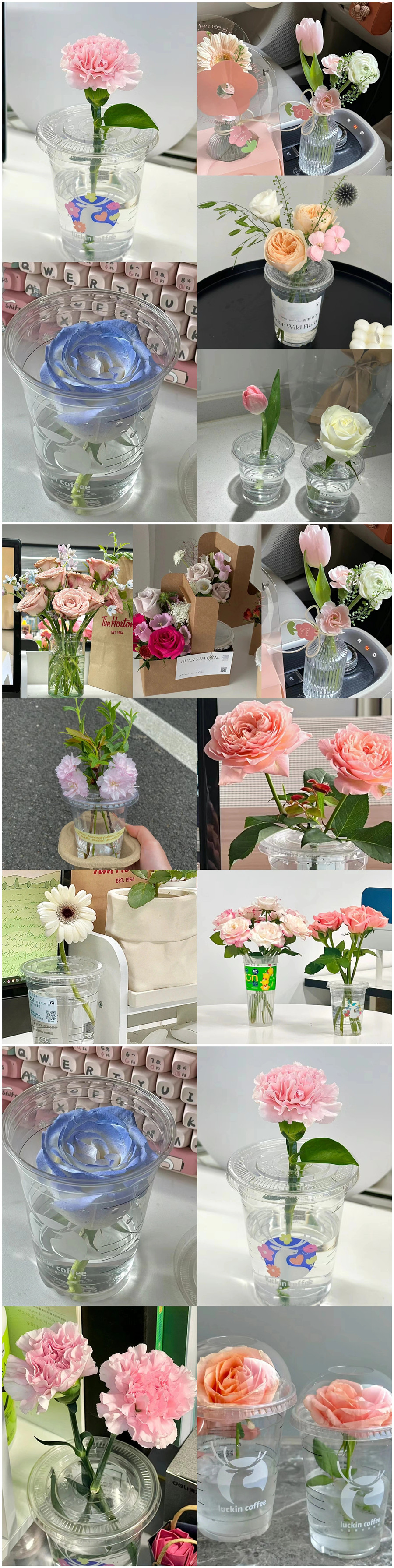 1711798089442240.jpg 102.jpg