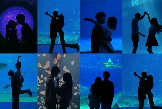 在海洋館怎么拍照？廣西人物形象設(shè)計(jì)專業(yè)支招
