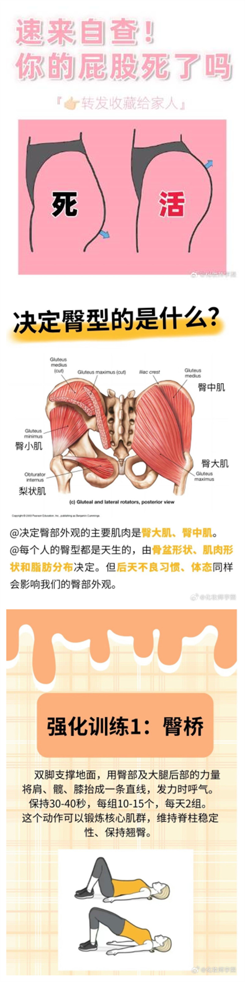 1727353331421559.jpg 101.jpg